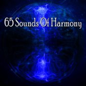 65 Sounds Of Harmony