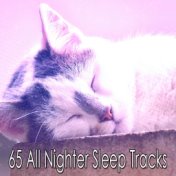 65 All Nighter Sleep Tracks