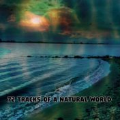 72 Tracks Of A Natural World