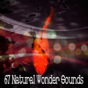67 Natural Wonder Sounds