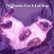 70 Tracks For A Cat Nap