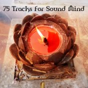 75 Tracks For Sound Mind