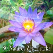 80 Natures Zen Tracks