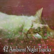 42 Ambient Night Tracks
