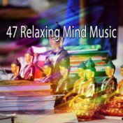 47 Relaxing Mind Music