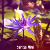 Spiritual Mind