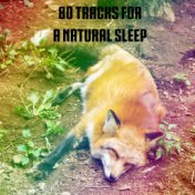 80 Tracks For A Natural Sleep