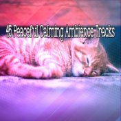 45 Peaceful Calming Ambience Tracks