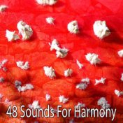 48 Sounds For Harmony