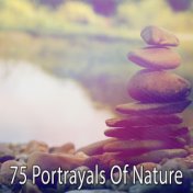 75 Portrayals Of Nature