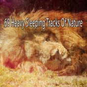69 Heavy Sleeping Tracks Of Nature