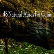 48 Natural Auras For Calm