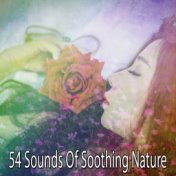 54 Sounds Of Soothing Nature