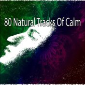 80 Natural Tracks Of Calm