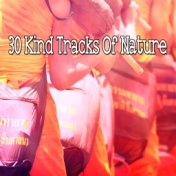 30 Kind Tracks Of Nature