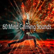 60 Mind Calming Sounds