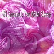 61 Sounds For REM Sleep