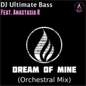 Dream of Mine (Orchestral Mix)