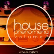 House Phenomena, Vol. 3