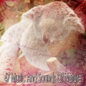 47 Music And Sounds Of Nature