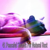 41 Peaceful Sounds For Natural Rest