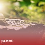 #16 Relaxing Noises for Ultimate Relaxation