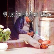 49 Just Sounds From Nature