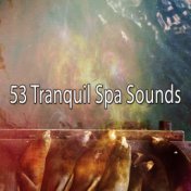 53 Tranquil Spa Sounds