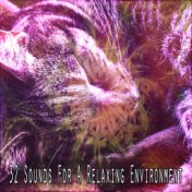 32 Sounds For A Relaxing Environment