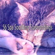 56 Spa Soothing Surroundings