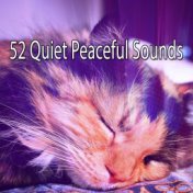 52 Quiet Peaceful Sounds