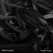 1 Hour Naturally Calming Tracks to Free the Soul