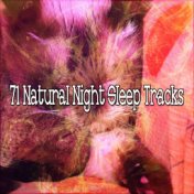 71 Natural Night Sleep Tracks