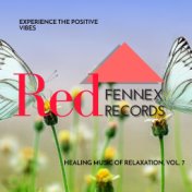 Experience The Positive Vibes - Healing Music Of Relaxation, Vol. 7