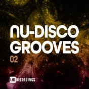 Nu-Disco Grooves, Vol. 02