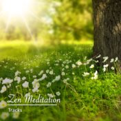 17 Zen Meditation Tracks