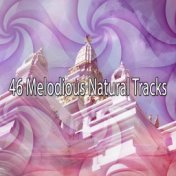 46 Melodious Natural Tracks