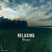 #2018 Relaxing Noises to Free the Soul