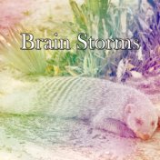 Brain Storms