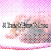 30 Tracks Of Nature To Dream