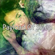Payload Of Sleep