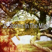 25 Storms In The Mind