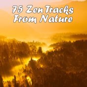 75 Zen Tracks From Nature