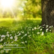 #20 Balancing Noises for Yoga, Zen and Meditation