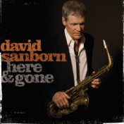 David Sanborn