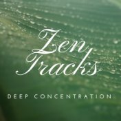 Zen Tracks: Relaxation and Yoga Music for Deep Concentration and Calmness