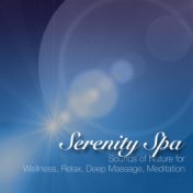 Serenity Spa - Relaxation Spa Music with Background Sounds of Nature for Wellness, Relax, Deep Massage, Meditation