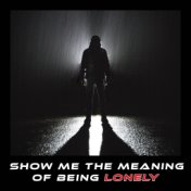 Show Me the Meaning of Being Lonely