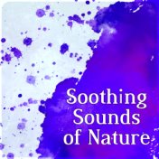 Soothing Sounds of Nature – Calm Music for Relaxation, Healing Sound, Music Background, Deep Sounds for Meditation, Ocean Waves