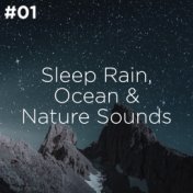 #01 Sleep Rain, Ocean & Nature Sounds